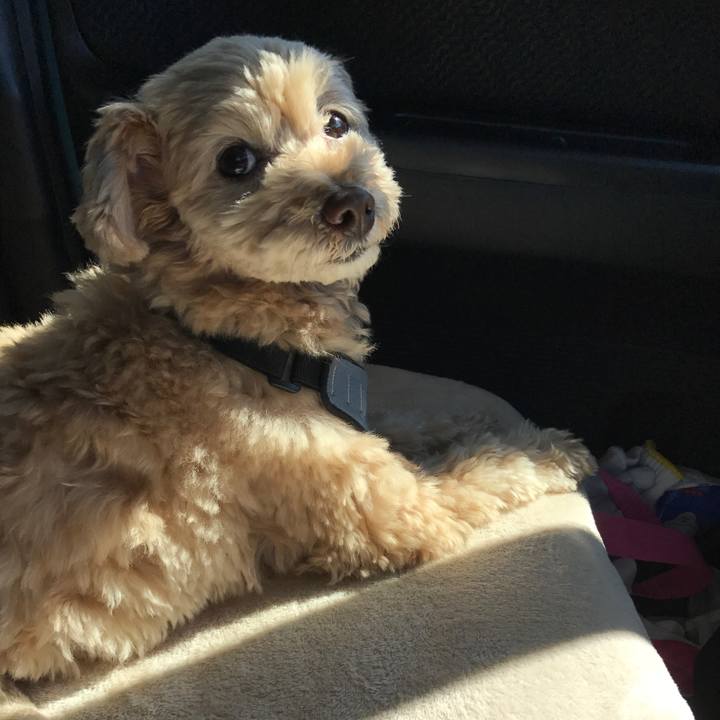 Dfcb23ac 56ee 411e 923a fe3bd106b4c6