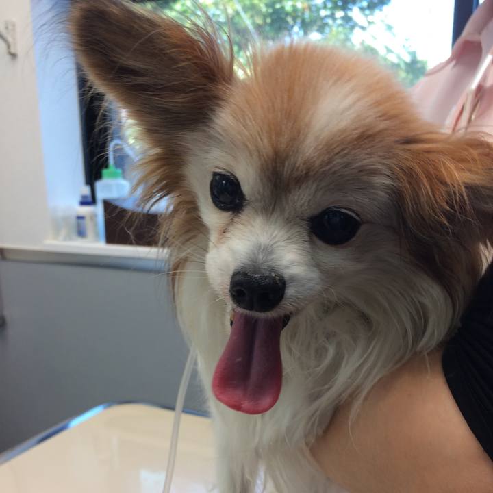 Dfcbea91 f943 4b8e 926e 55f7bfeba274