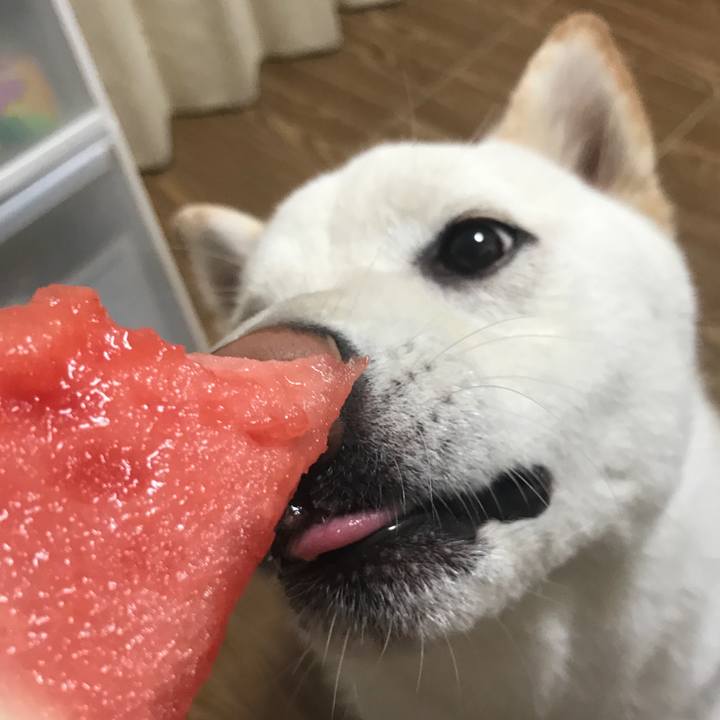 Dfcc481a ce10 4d36 a7b6 2a57cdfad30d