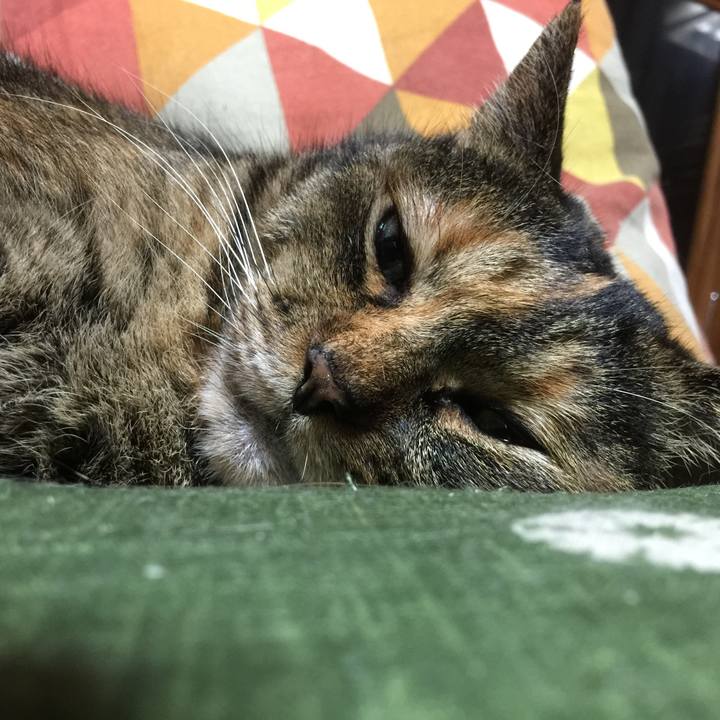 Dfcc6431 db35 4178 be30 159958436218