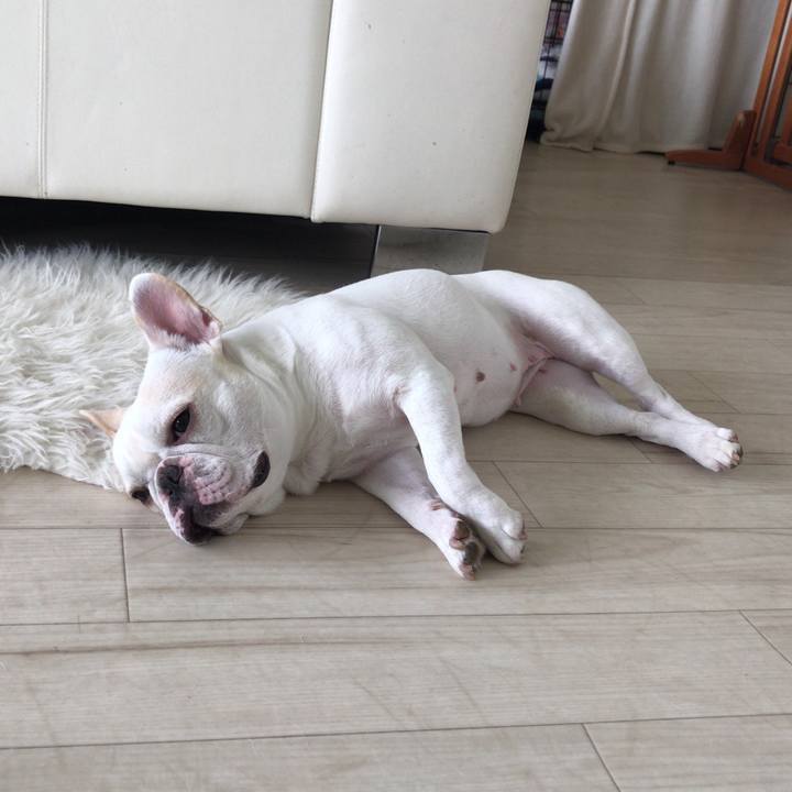 Dfcc81fc c6ce 418f 9dbc d1c49996716d