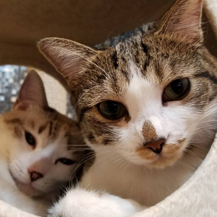 Dfcc89da faf3 45f5 86bc 401f32fad80d