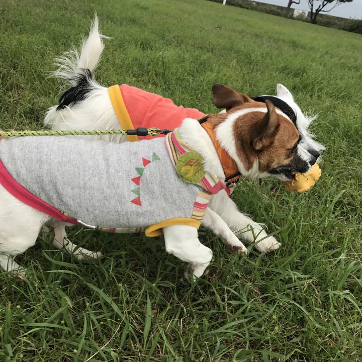 Dfcd08d2 3440 4504 ae81 3833827d4a78