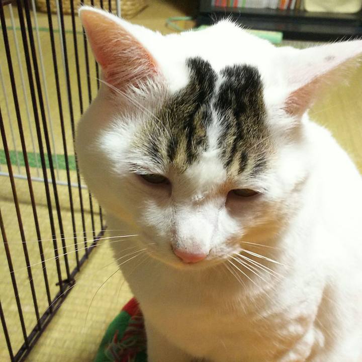 Dfcd317f e10e 47fe bfa9 0735b2913d52