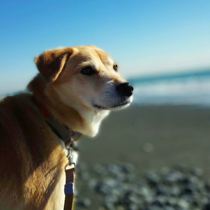 Dfcd8806 eaa1 44ea b438 d59ec41ea31c