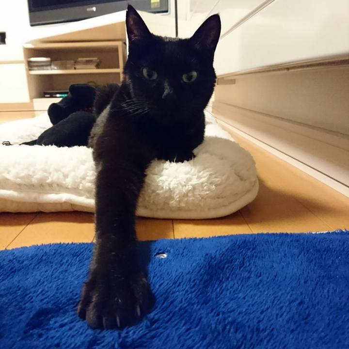 Dfcd8c29 b7b0 40ac 8e32 b6794d831e3d