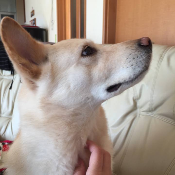 Dfcd92e3 7baa 4705 81d5 b5c21b84c8c1