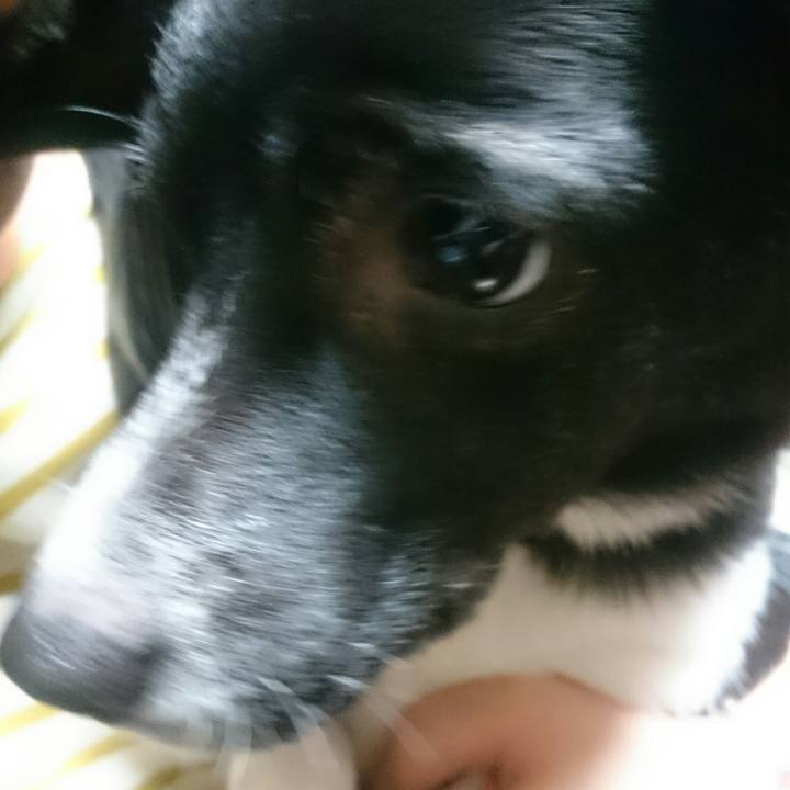 Dfcdb840 989e 49d9 8cab 8313c572e2ef