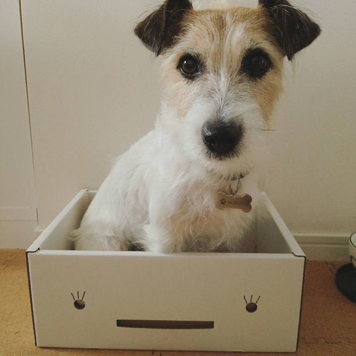 Dfce1145 63d0 4de5 b839 0c6dd9fda1b7