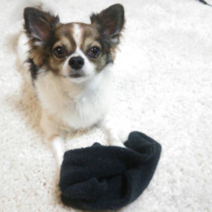 Dfce12e5 848c 4c4c bc5c 44357d5989b4