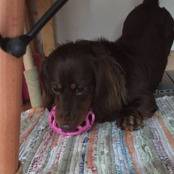 Dfce1c87 f050 4cd4 9422 180724c2b253