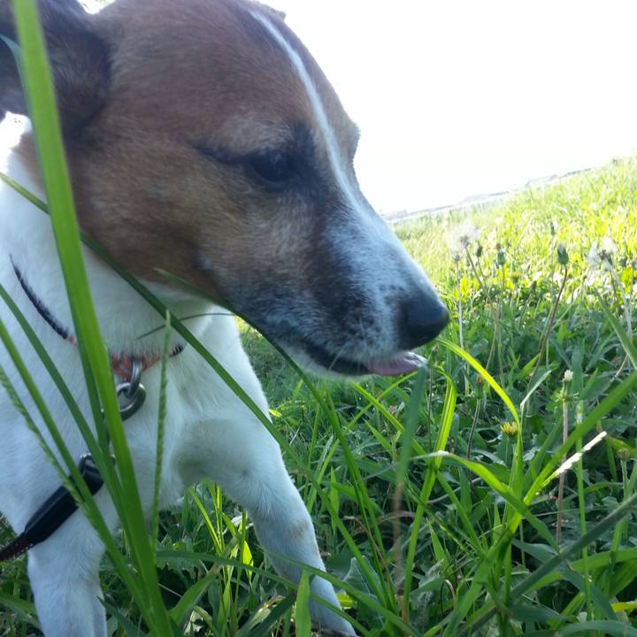 Dfce3c5d 110a 44ac 8c25 dc8328a25f1e