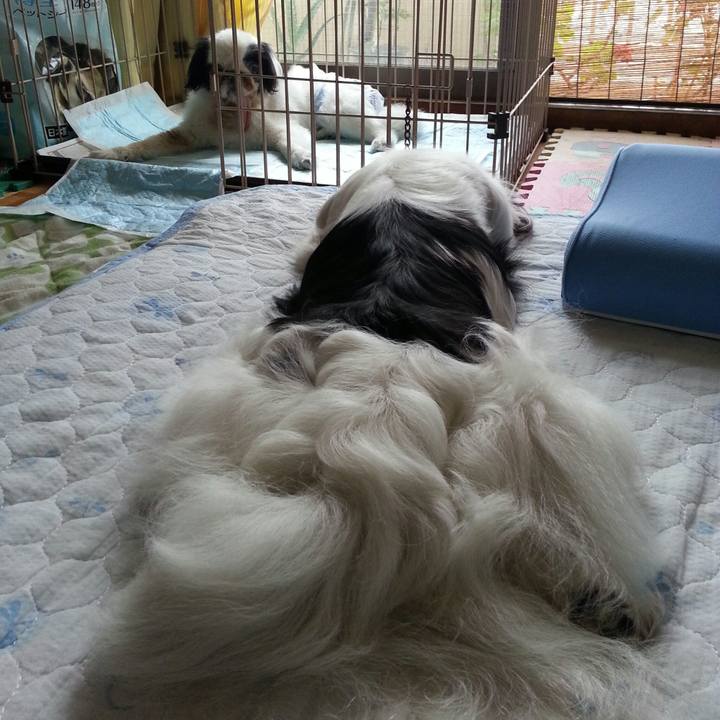 Dfce54d1 7c47 4dee 820d 73d3c718edcf