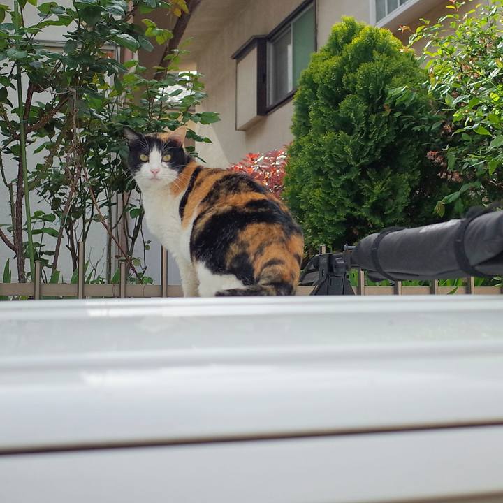 Dfced637 b681 47d5 a01e 0d771e41fc82