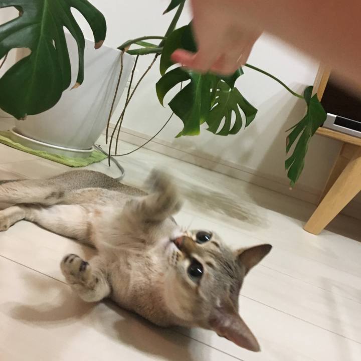 Dfcf3dad f60d 489e b614 4a7b7444d0c1