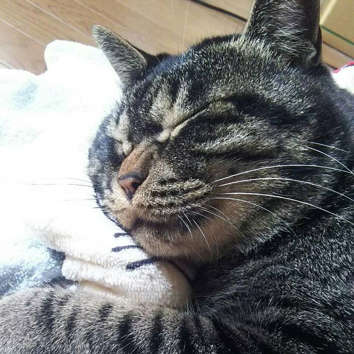 Dfd05d5e dd2f 4723 bb3a 7d7cd10e8d02