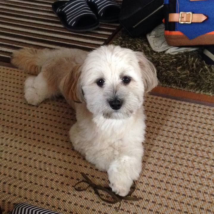 Dfd08c23 2180 46e1 8bc7 b6b9827ce463