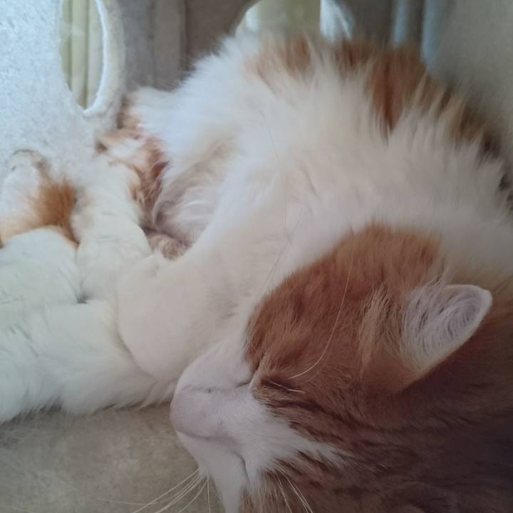 Dfd0aa62 b2a8 4989 bbc2 25a0566024b0