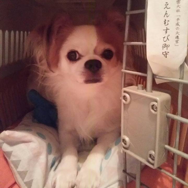 Dfd0f83c 8eb5 4f27 9c26 5002c2c14b92