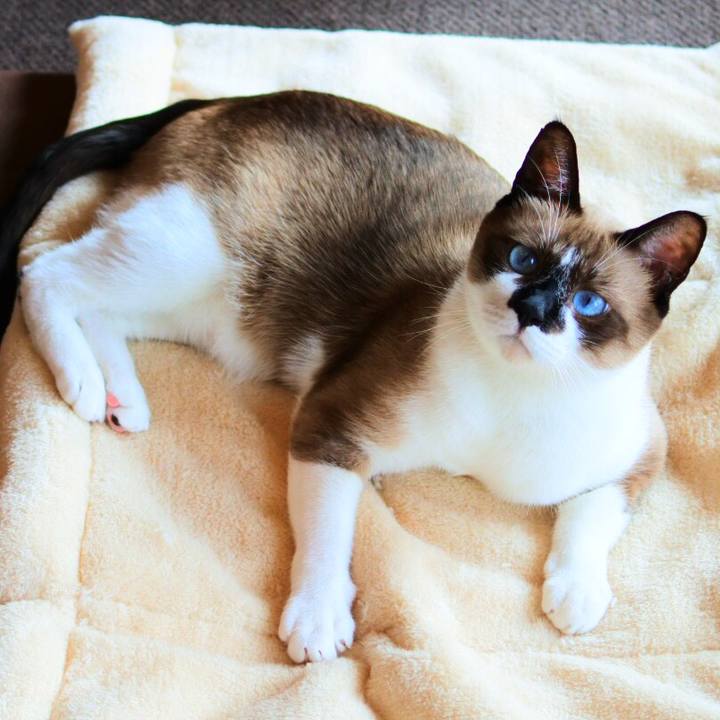 Dfd18a4d 3d76 4dc2 9bce 5fa54a2b5600