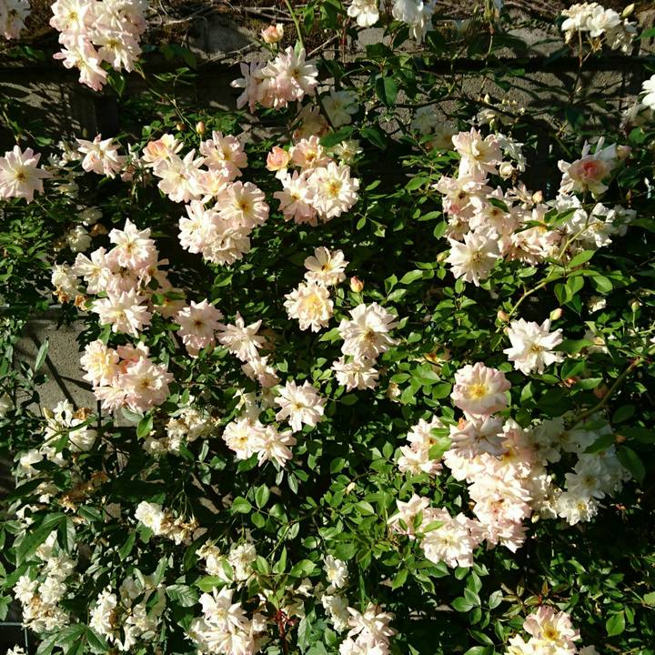 Dfd1d7c4 0865 4481 8cbd 2ac4376d61ac