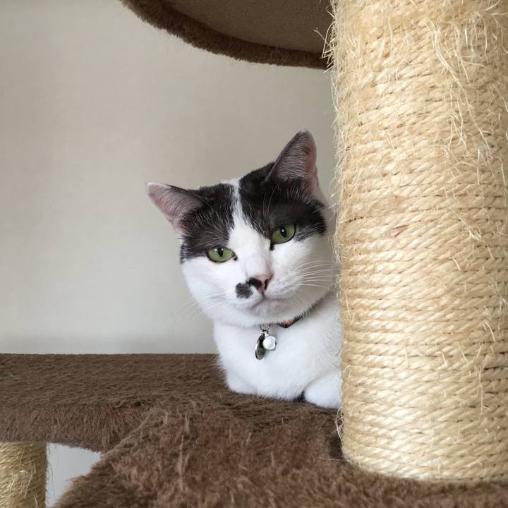 Dfd1f3f1 3f8d 4376 8212 21c3f22a0495