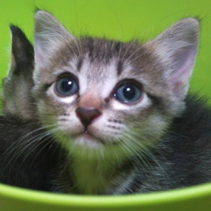 Dfd2b481 ff09 4677 bf09 7dd47cd73daf