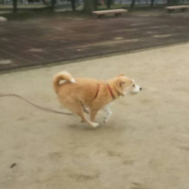 Dfd485ad 7459 4ccb 850e 13c1dc9789ee