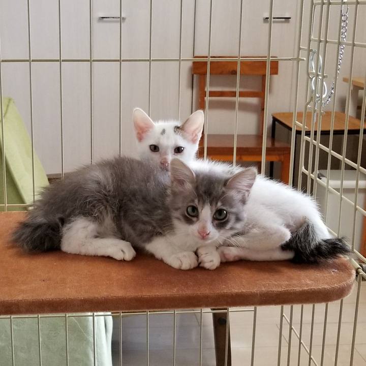 Dfd48766 2c3e 4719 9052 e8087fe945a7