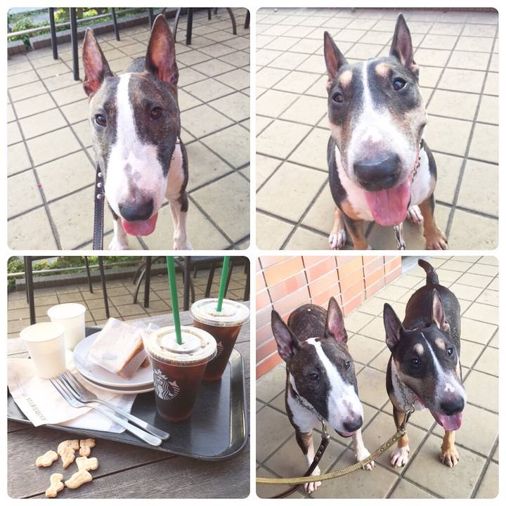 Dfd4a0c6 e007 49ca 8c3e c01ecbf6a3c4