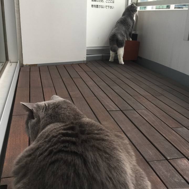 Dfd4d487 f439 4cd3 b658 5b18ea9626c3