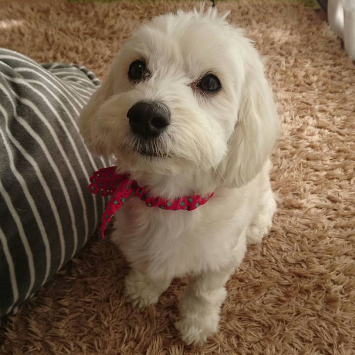 Dfd4f695 a788 45fa ac1c 7160b5811035