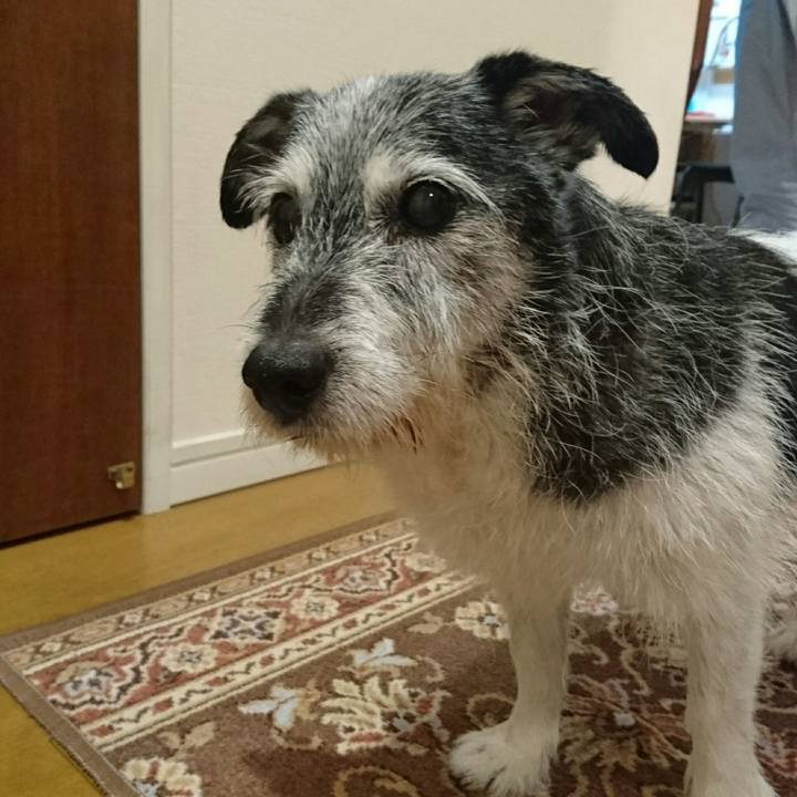 Dfd52995 705e 4dbc bb7e 748e342e4363