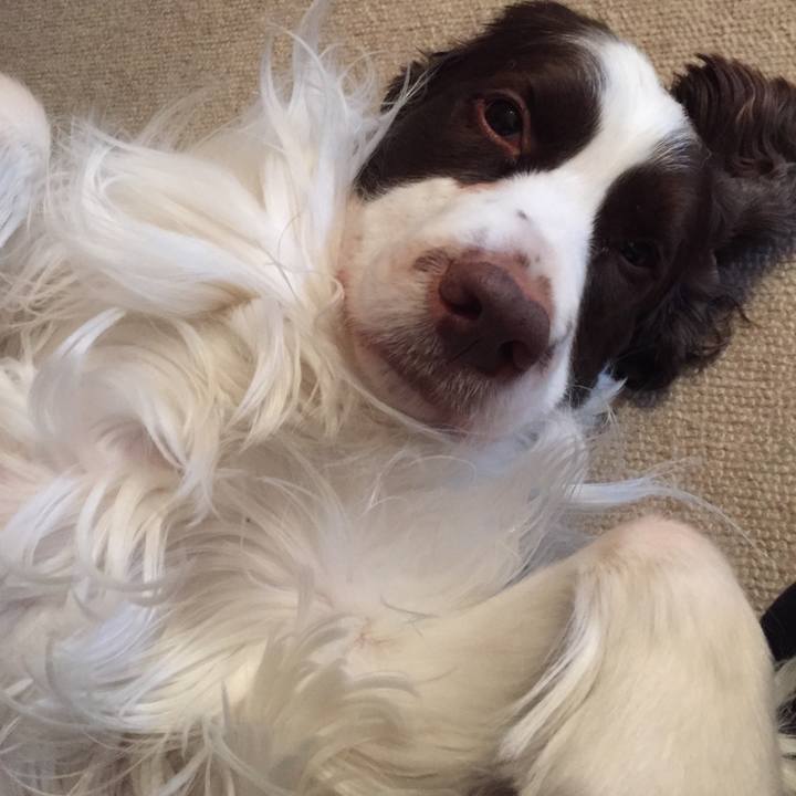 Dfd557bc aed8 4dde b075 16b0bf5d865d