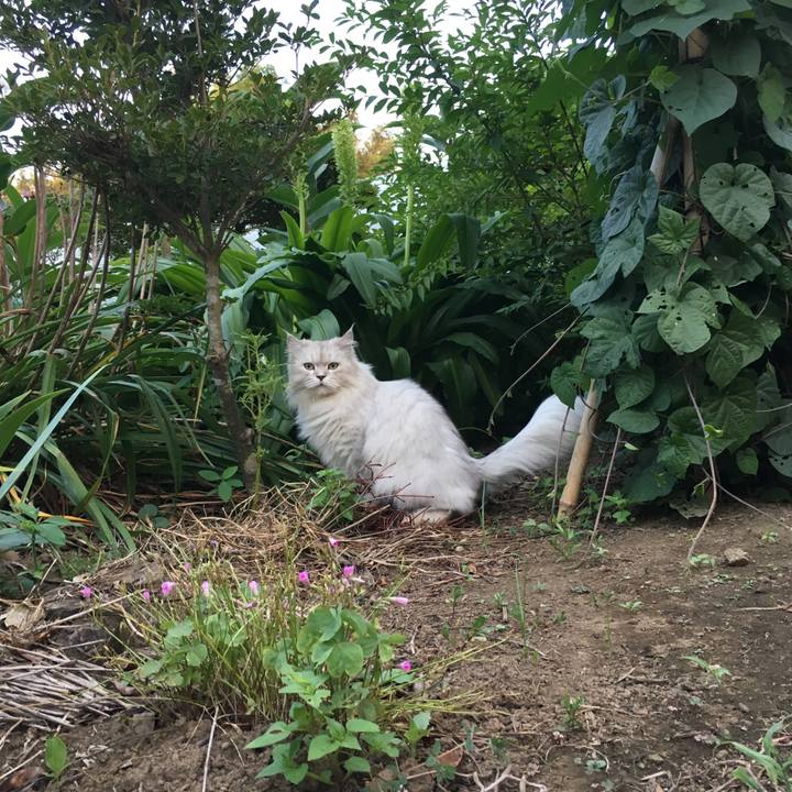 Dfd5f7f6 c6d8 4126 a18f 0b749afdc15f