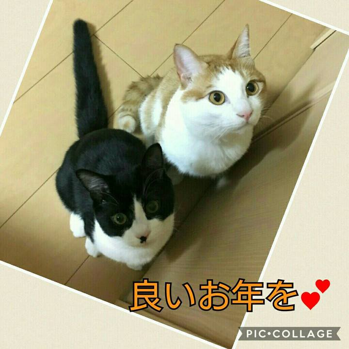 Dfd691fe 25a2 43c3 a84c da03e018e114