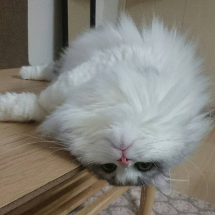 Dfd6e4d9 12df 49b6 a2b5 a2d96e64b5e0