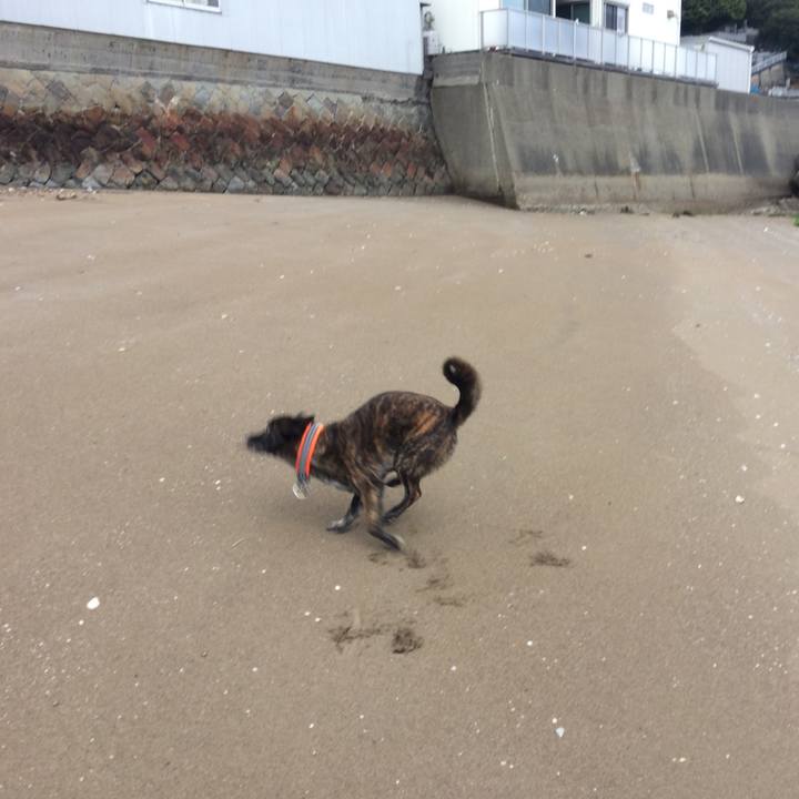 Dfd77ac5 0e67 4306 8592 53b064cec934