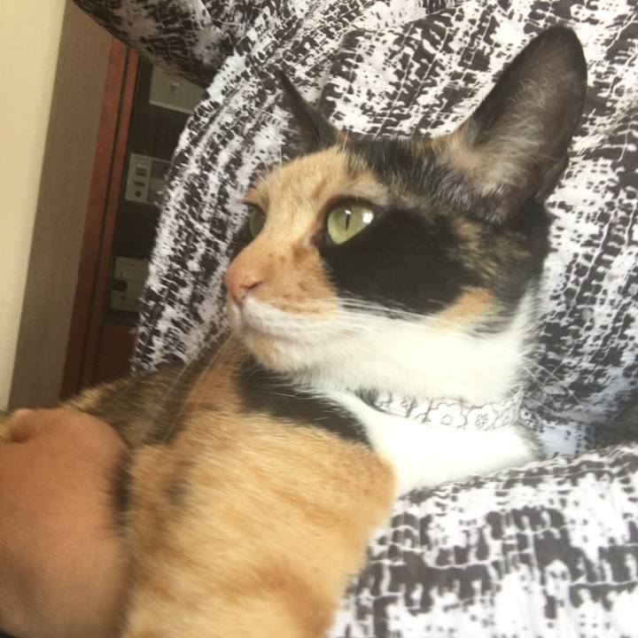 Dfd7d4de 1041 4725 ab96 5b0067e53fbb