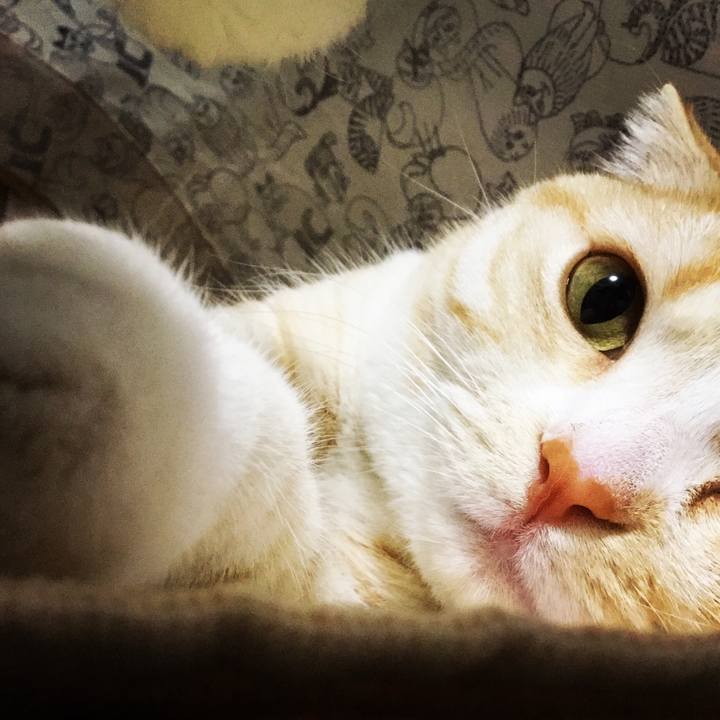 Dfd7febf eee8 43b9 83ab 838a5b6953bc