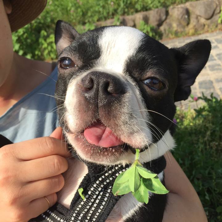 Dfd882d2 1c68 4c09 a787 d5fb4ac8240f