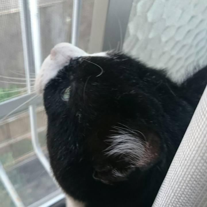 Dfd8d853 1e2b 4a96 8f70 4ae124b9a8ee