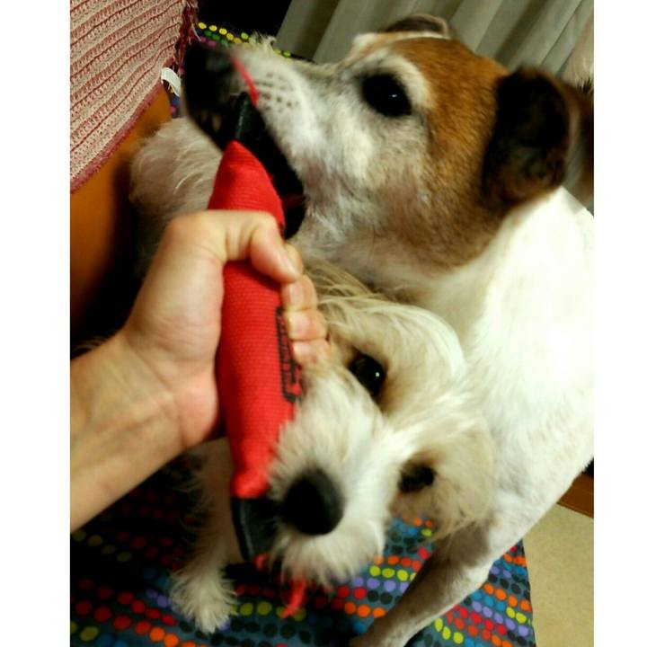 Dfd9abc8 2f4c 4296 b030 8c5772a153ab