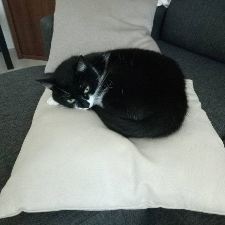 Dfda376f 92dd 46b1 96f3 3dc94159a1dc