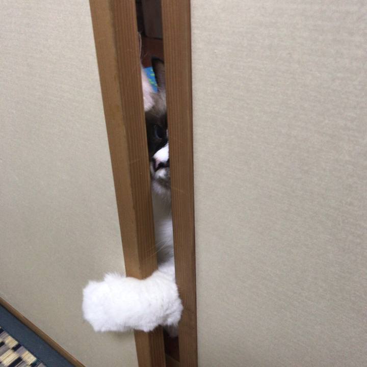 Dfda5691 da0d 4245 a86d a5ad158ef4e8