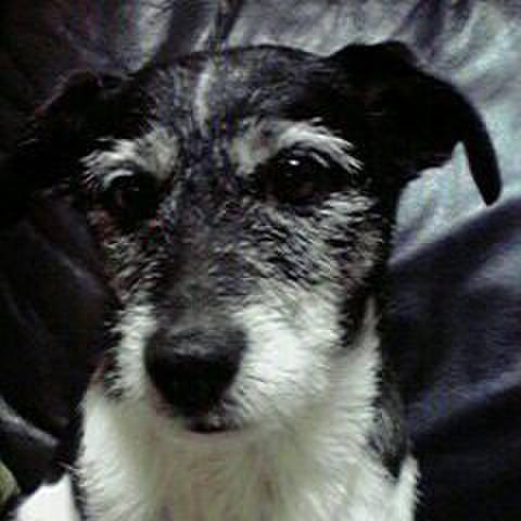 Dfda78a1 de79 4c52 b462 f1d984201e69