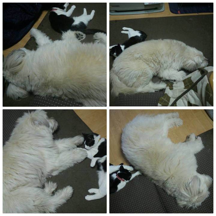 Dfdc0b0a 7ce6 4f43 95bb 5face766d3d3