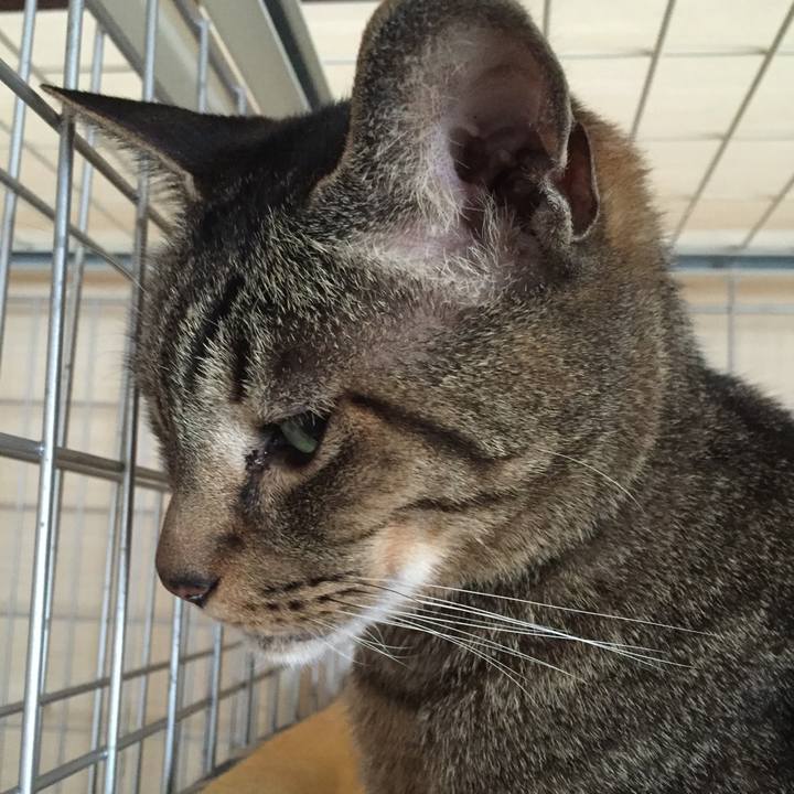 Dfddc396 0047 4e39 b593 52420e9ce21b