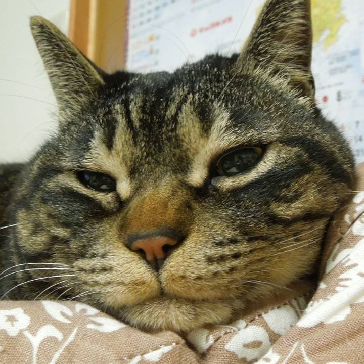 Dfdde478 e45b 4207 a9ea 1b8b9f225a0d