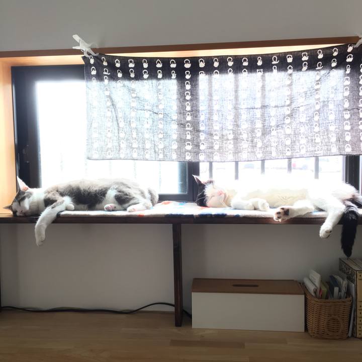 Dfde487d ba90 4517 97a5 e2ea816d1176